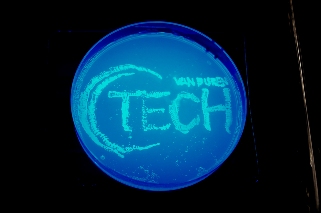 VBT logo on Petri dish