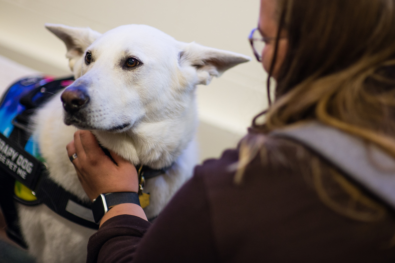 Two sessions at the conference discussed the benefits of animal-assisted therapy and schools; participants had the opportunity to meet therapy dogs,, like the one pictured above.
